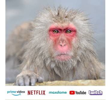 Produktbild JVC LT-32VF5155W