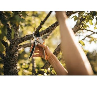 Produktbild Fiskars P531