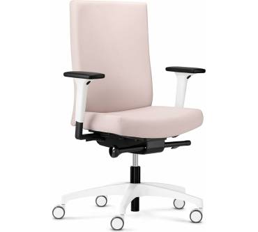 Produktbild Dauphin @Just evo cozy colours