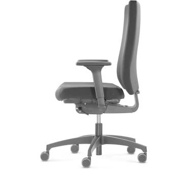 Produktbild Dauphin @Just evo cozy colours