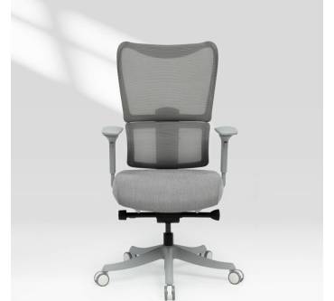 Produktbild Flexispot BS8 Pro