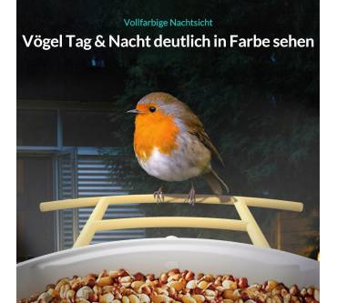 Produktbild Birdfy Feeder