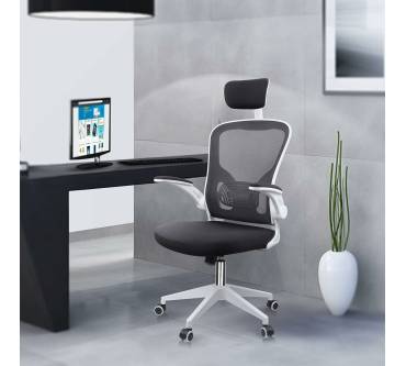 Produktbild Jajaluya Ergonomic Office Chair (Basic)