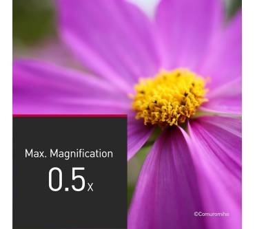 PANASONIC Lumix S5D + Obiettivo 28-200mm F/4.0-7.1 Macro – Full Frame Mirrorless Con AF LiDAR E 4K 60p