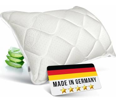 Produktbild Rosenkern Aloe Vera Kissen