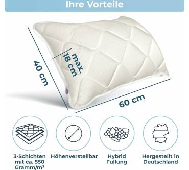 Produktbild Rosenkern Aloe Vera Kissen