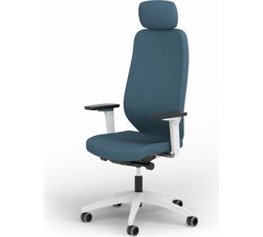 Produktbild Ergotopia MasterBack Pro