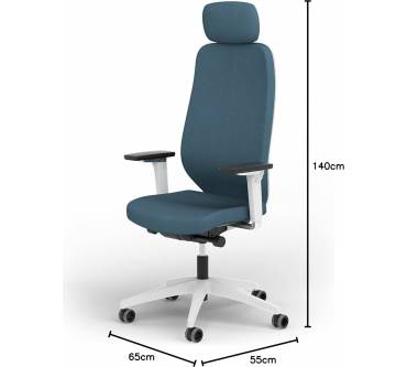 Produktbild Ergotopia MasterBack Pro