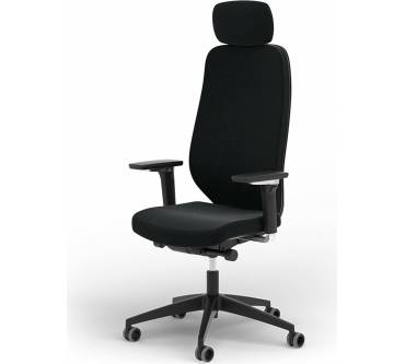 Produktbild Ergotopia MasterBack Pro