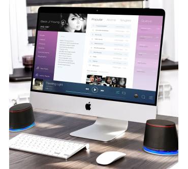 Produktbild Sanyun SW102