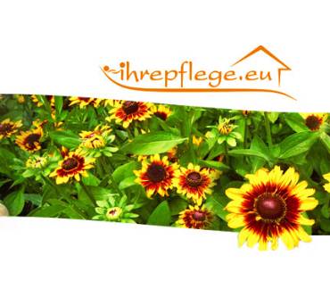 Produktbild ihrepflege.eu Agentur für Pflegepersonal