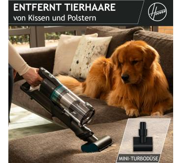Produktbild Hoover HF1 Plus (HF1P10P)