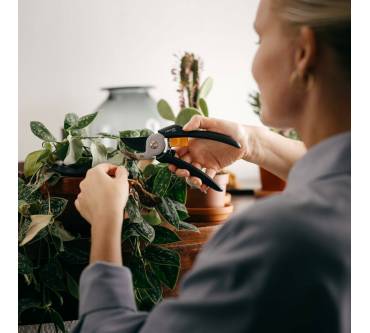 Produktbild Fiskars P121