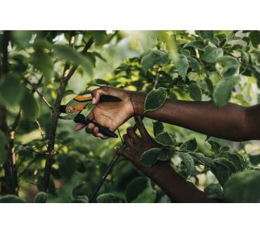 Produktbild Fiskars P331