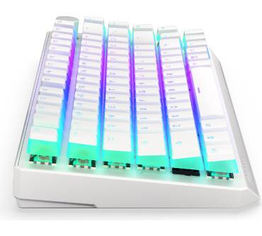 Produktbild Endorfy Thock 75% Wireless Pudding