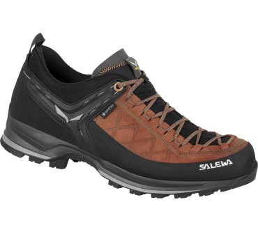 Produktbild Salewa Mountain Trainer 2 GTX