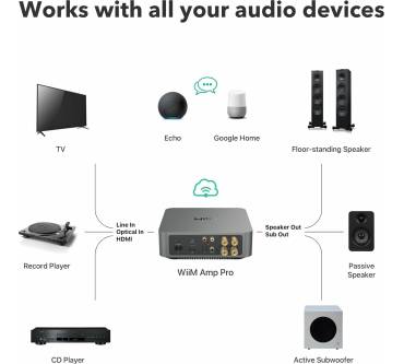Produktbild WiiM Amp Pro