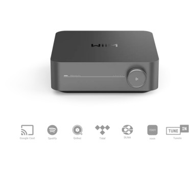 Produktbild WiiM Amp Pro