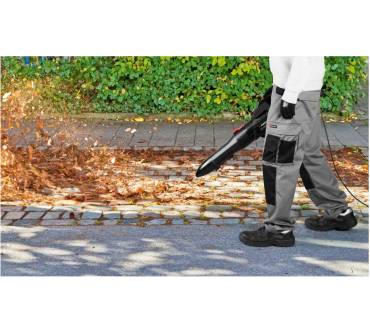 Produktbild Lidl / Parkside Performance PPELB 1650