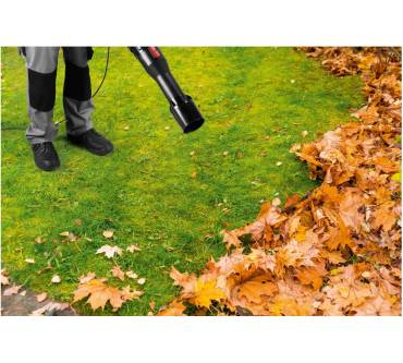 Produktbild Lidl / Parkside Performance PPELB 1650