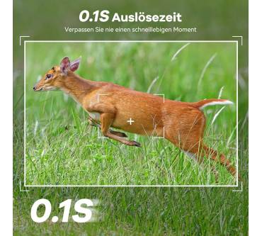 Produktbild Deatti DL04