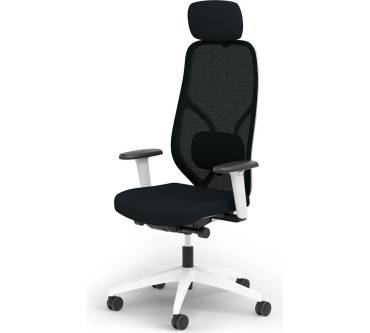 Produktbild Ergotopia MasterBack Style