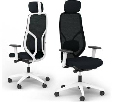 Produktbild Ergotopia MasterBack Style