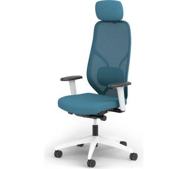 Produktbild Ergotopia MasterBack Style