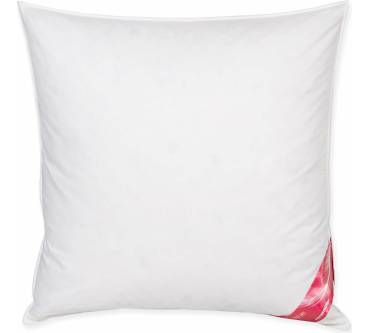 Produktbild Künsemüller Federn & Daunenkissen 70/30 Gans