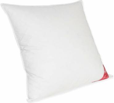 Produktbild Künsemüller Federn & Daunenkissen 70/30 Gans