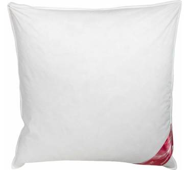 Produktbild Künsemüller Federn & Daunenkissen 70/30