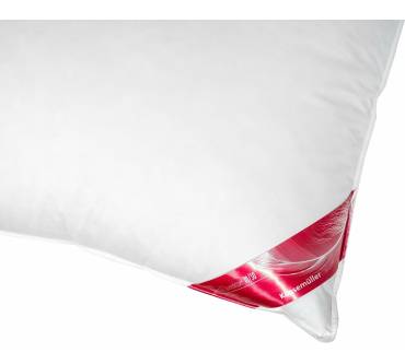 Produktbild Künsemüller Federn & Daunenkissen 70/30