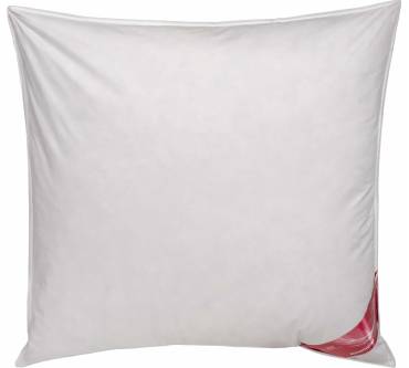 Produktbild Künsemüller Federn & Daunenkissen 85/15