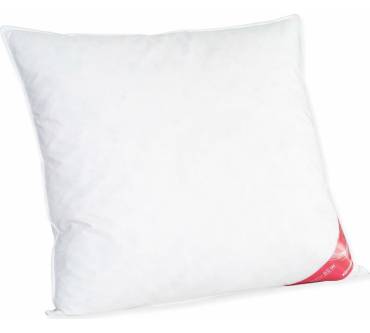 Produktbild Künsemüller Federn & Daunenkissen 85/15 Gans