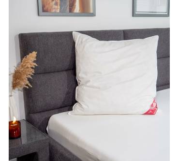 Produktbild Künsemüller Federkissen 100 Gans