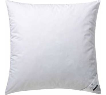 Produktbild Billerbeck Clivia 15