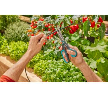 Produktbild Gardena AquaBloom L Set