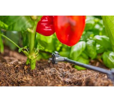 Produktbild Gardena AquaBloom L Set