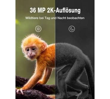 Produktbild Wolfang WT01