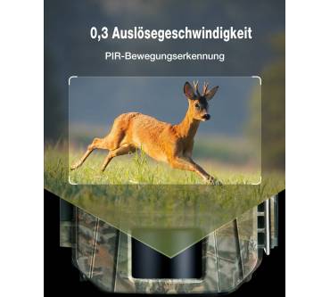 Produktbild Wolfang WT01