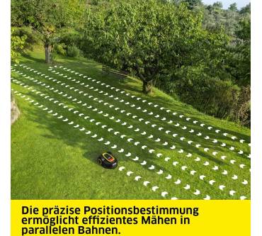 Produktbild Kärcher RCX 6