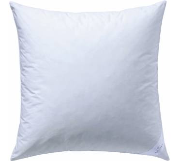 Produktbild Billerbeck Kissen Daune S 03