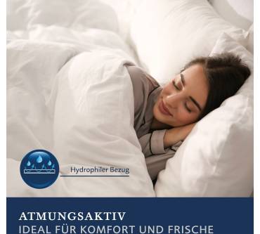 Produktbild Billerbeck Kissen Daune S 03