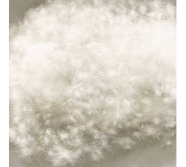 Produktbild Billerbeck Daunenkissen Piccola