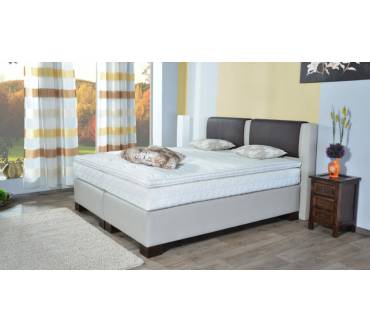 Produktbild Aukona International Amadeus