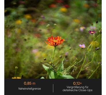 Produktbild Rollei AF 85 mm F/1.8