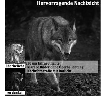 Produktbild FunKind HC808 GR