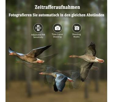 Produktbild FunKind HC808 GR