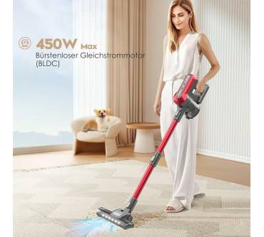 Produktbild Akitas V10