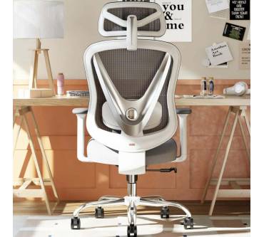 Produktbild Holludle Ergonomischer Bürostuhl V